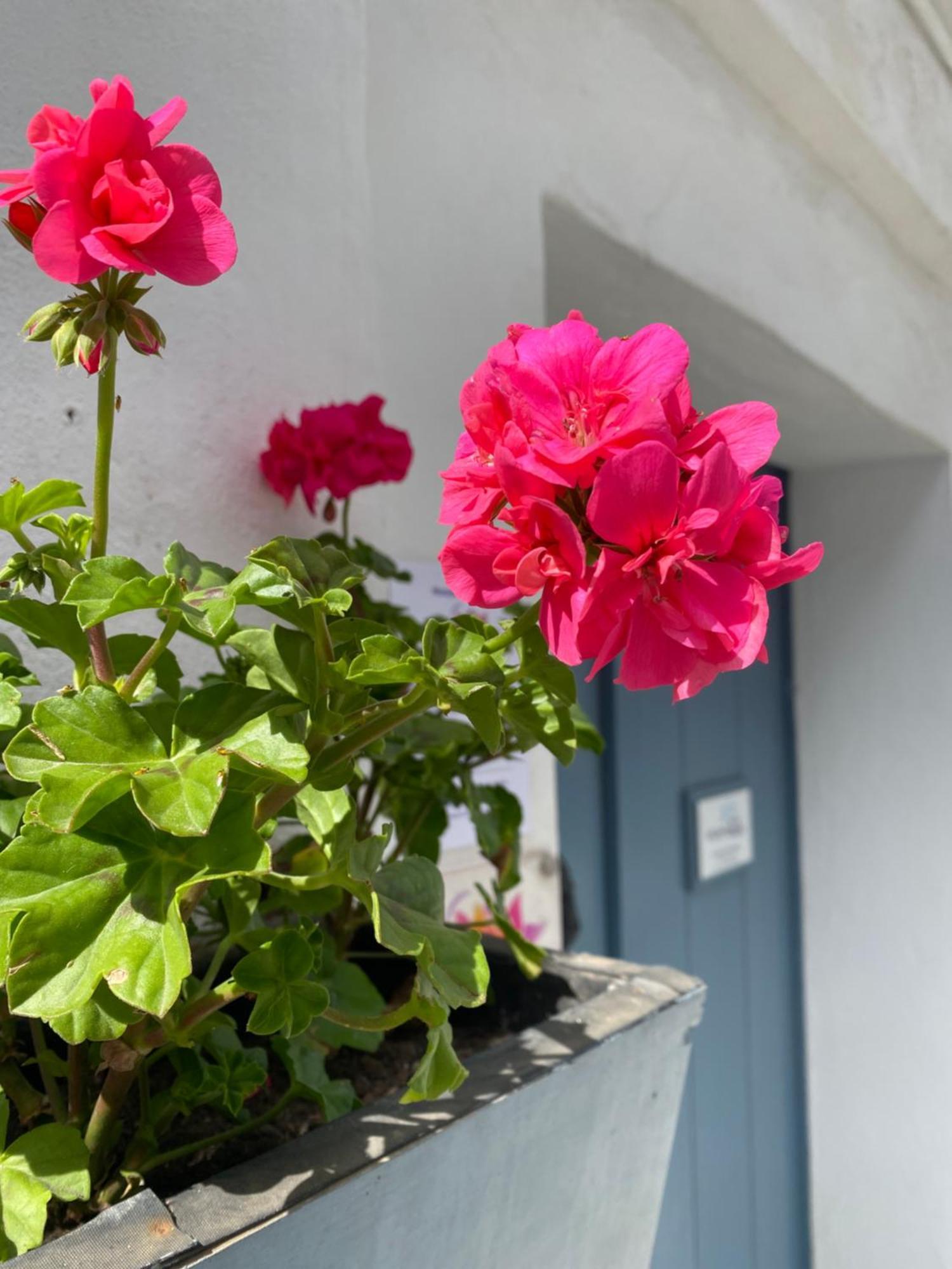 Hotel Victoria Seis Medina-Sidonia Zewnętrze zdjęcie
